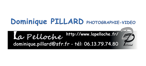 Logo Dominique PILLARD Photographe