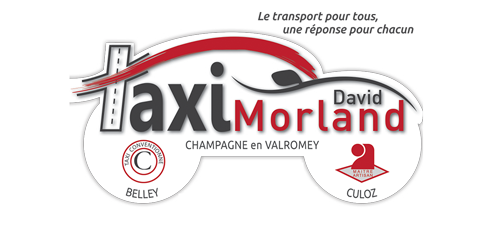 Logo Taxi David Morland