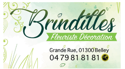 Brindilles